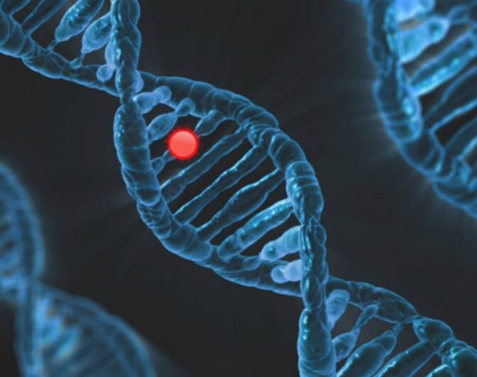 International Awareness Day for Chronic Immunological and Neurological Diseases